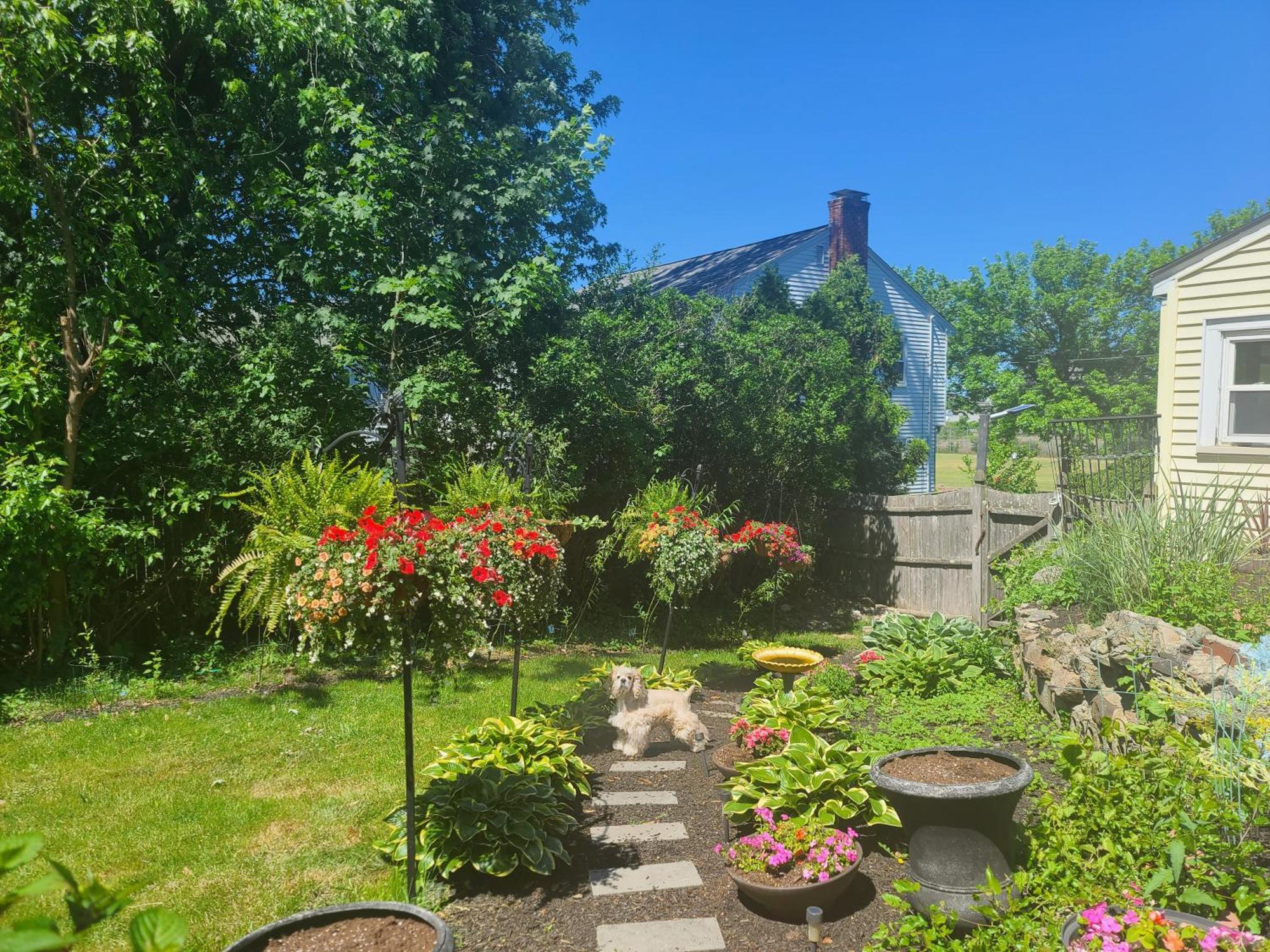 Park View South Of Boston - Quincy Apartment Ngoại thất bức ảnh